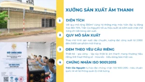 Thiết bị âm thanh