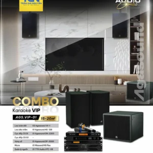 COMBO KARAOKE VIP AGS.VIP-01