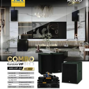 COMBO KARAOKE VIP AGS.VIP-02