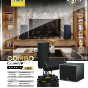 COMBO KARAOKE VIP AGS.VIP-06