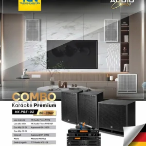 COMBO KARAOKE PREMIUM HK.PRE-02