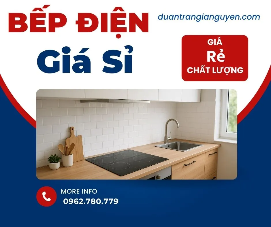 So Sánh Bếp Điện Từ, Hồng Ngoại, Bếp Gas: Nên Chọn Loại Nào? Bep dien tu