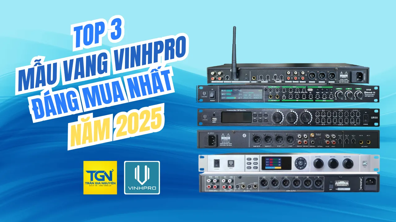 VANG VINHPRO