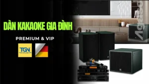 dan kakaoke gia dinh