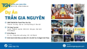 ANH ADS WEB DU AN TRAN GIA NGUYEN