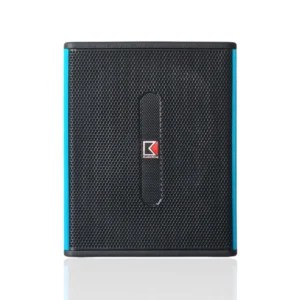 Loa Sub Audioking W 15A X 11zon