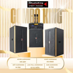 COMBO AUDIOKING