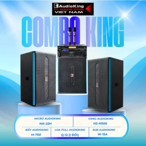 COMBO AUDIOKING