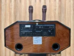LOA XÁCH TAY VINHMAX V220-D12 - Ảnh 5