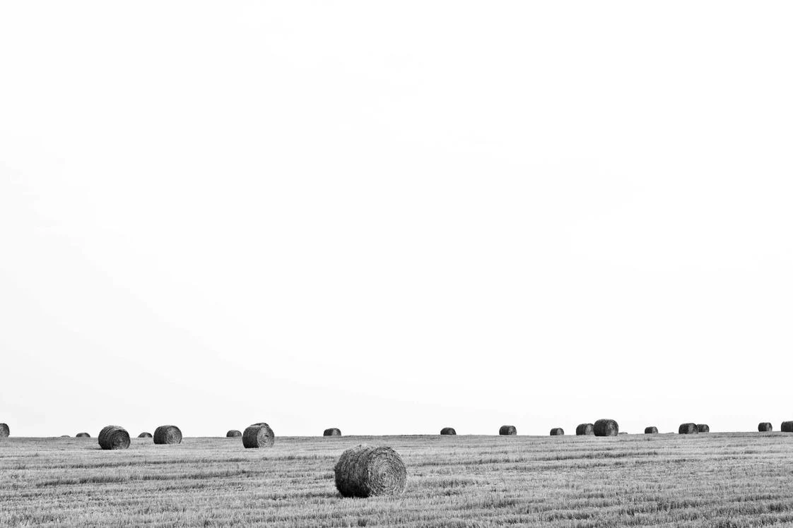 Veniam ut iusto temporibus ratione
